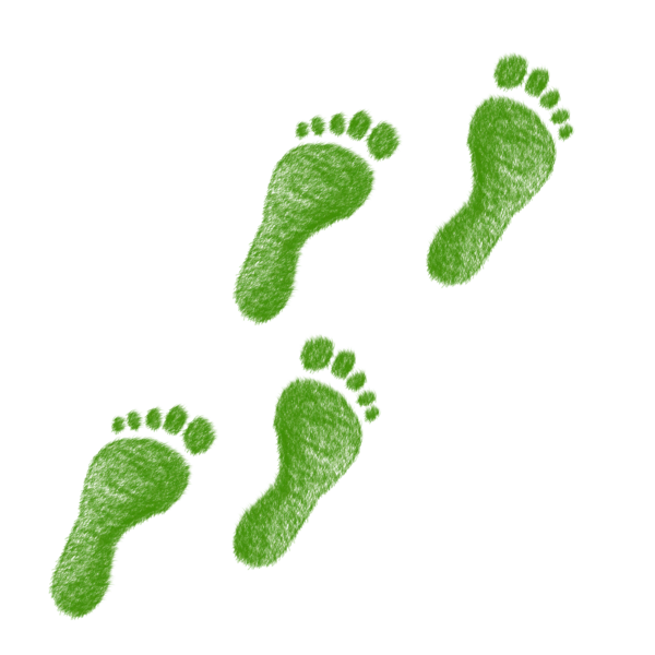 Bild vergrößern: Füße Grün